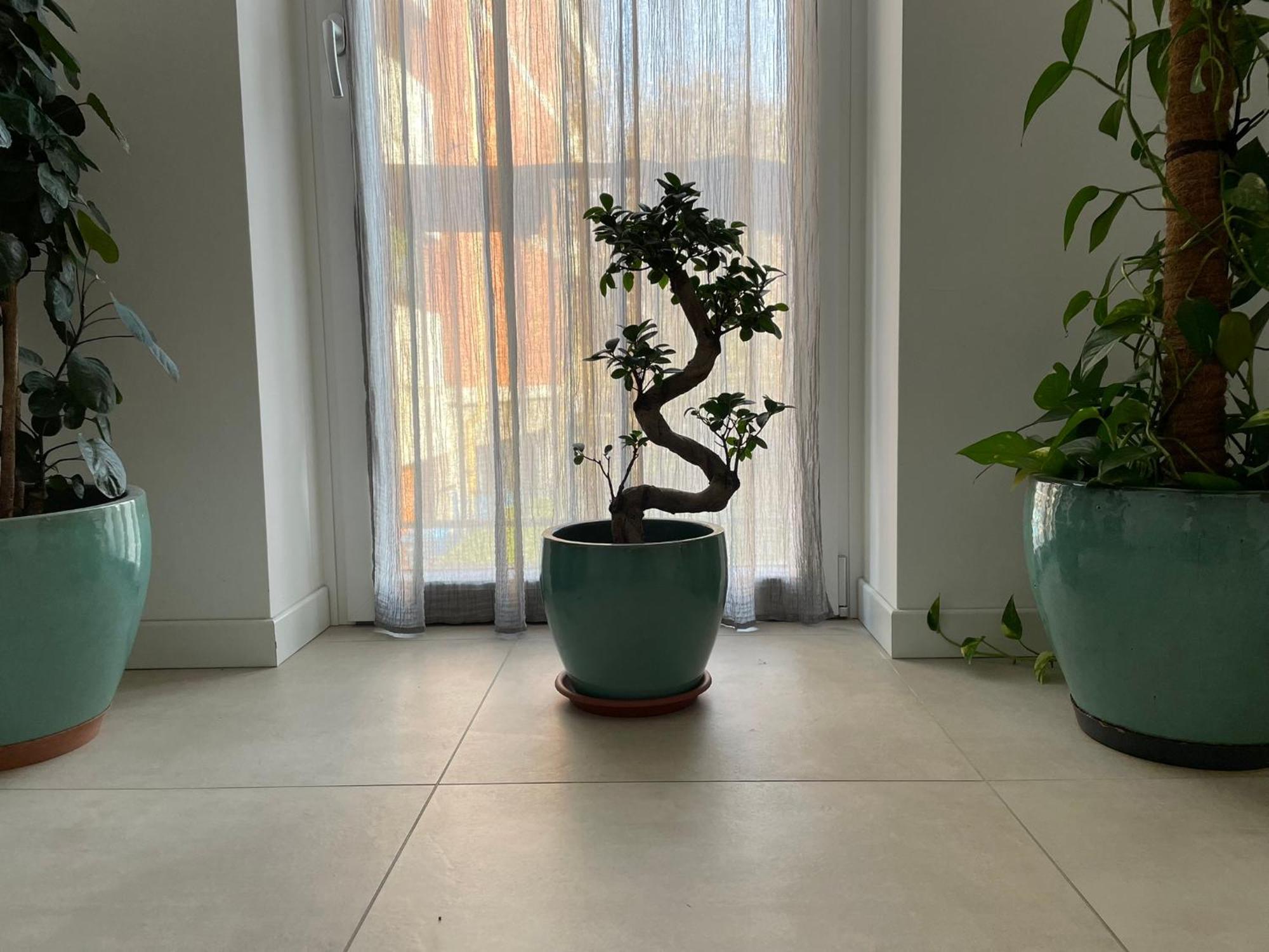 Green Stay Bergamo